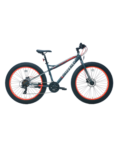 Carraro Buffalo 26 Çelik 26' 21 Vites Dağ Bisikleti